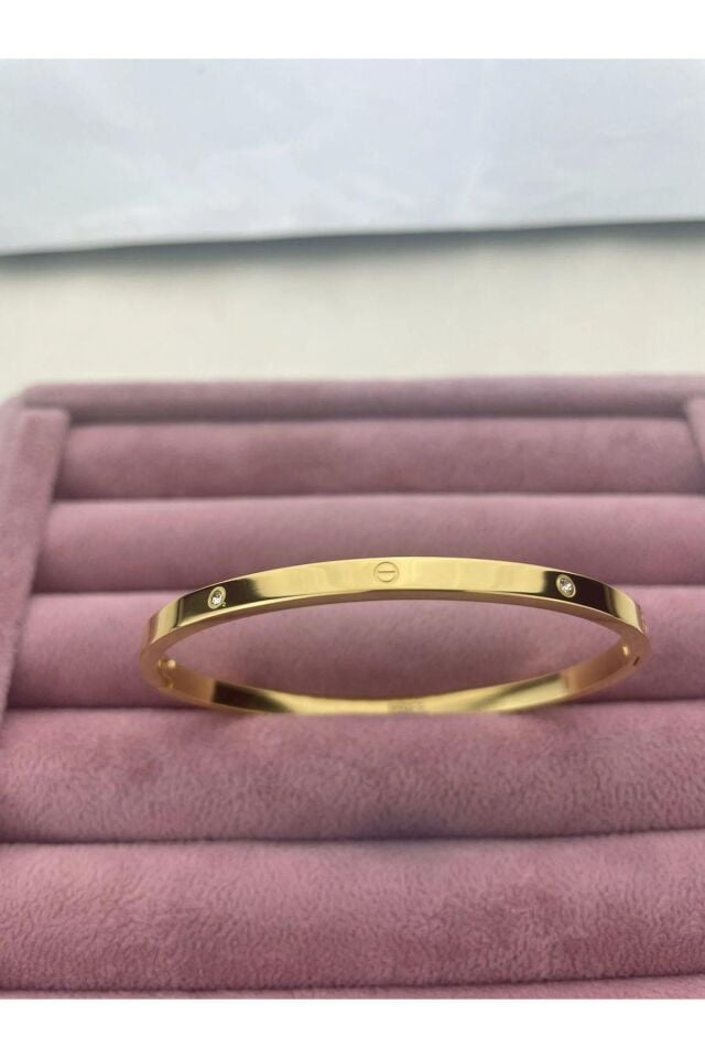 Steel Gold Thin Stone CRT Model Bracelet