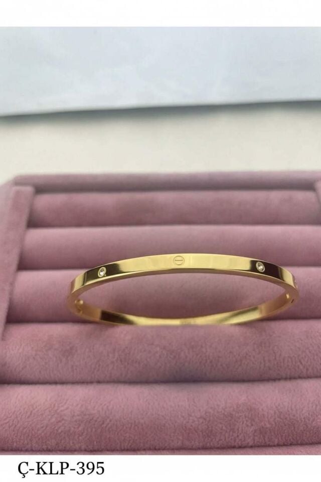 Armband aus Stahl und Gold mit dünnem Stein, Modell CRT