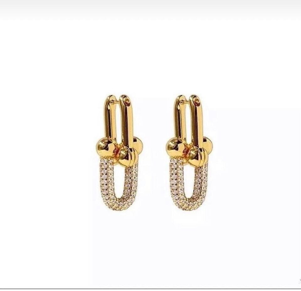 VIP Earrings