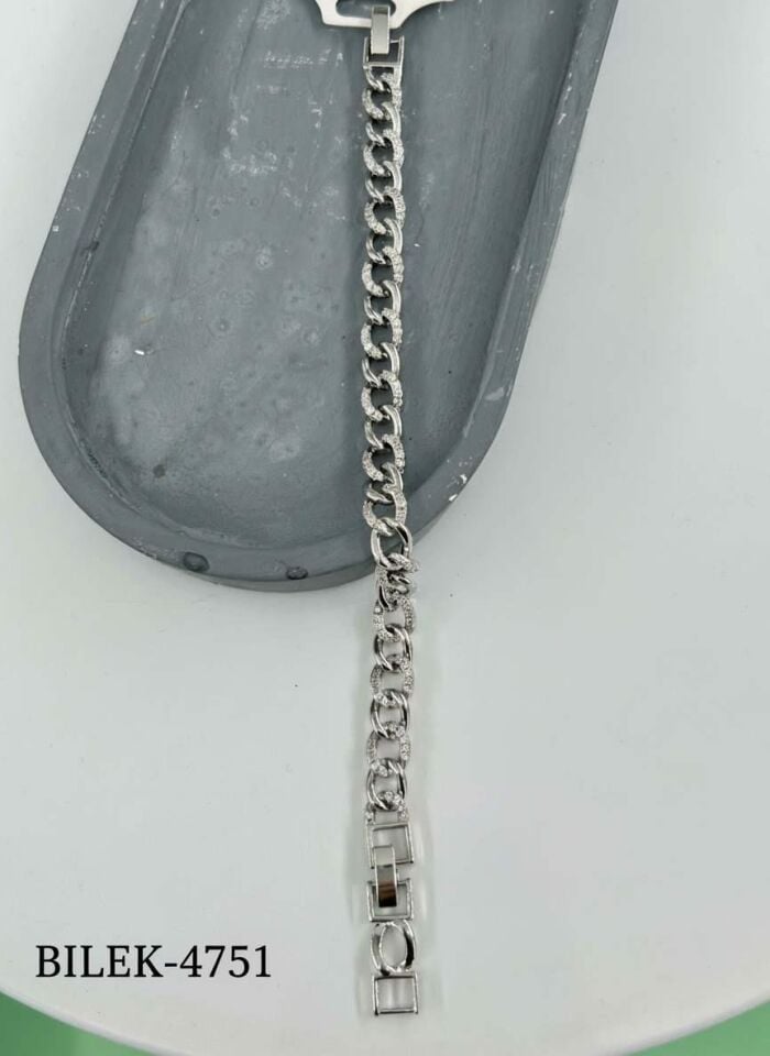 VIP Silver Bracelet // WRIST-4751